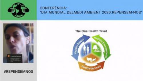 Conferència, Dia Mundial del Medi Ambient 2020, repensem-nos